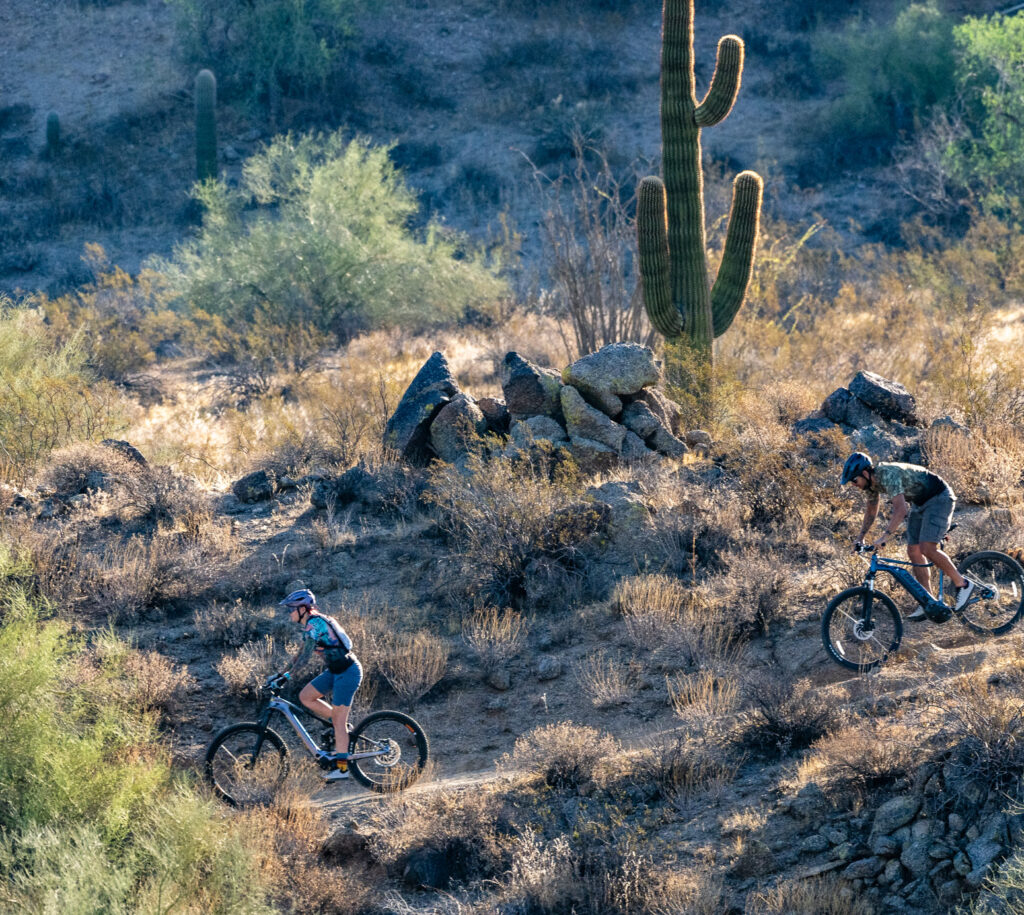 Mountain bikes can handle rugged terrain.