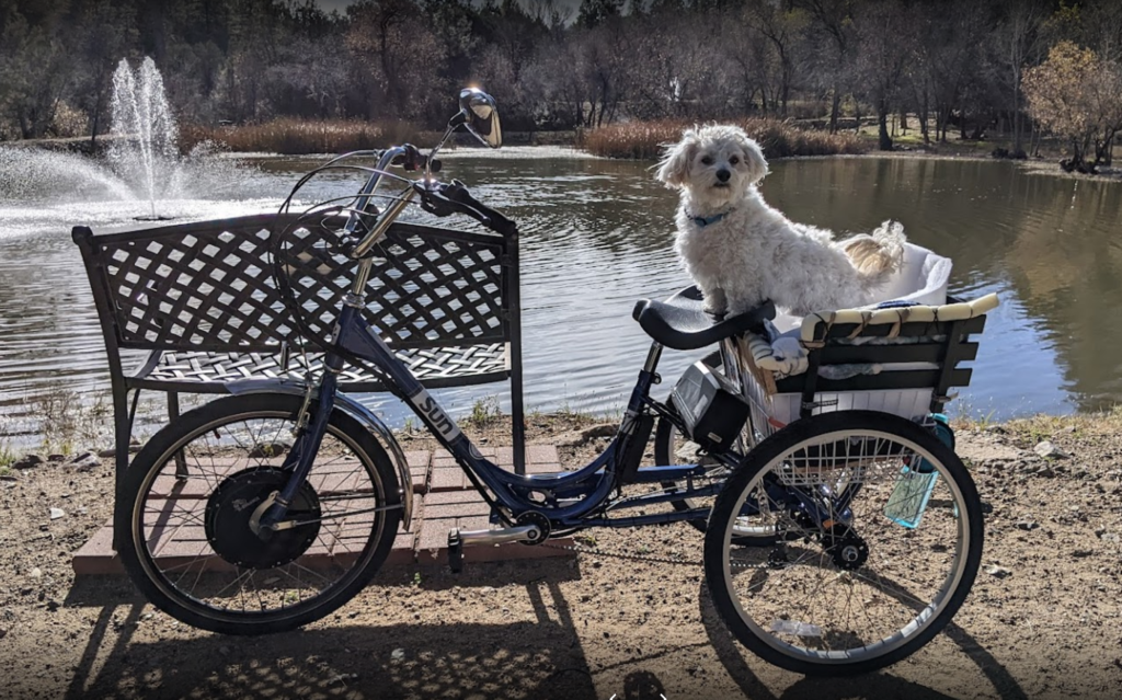 E-trikes are the perfect choice for balance and very handy for cargo.